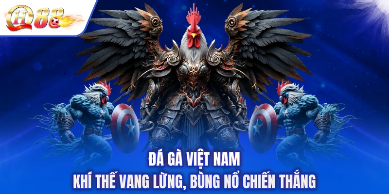 Đá Gà Việt Nam - Khí Thế Vang Lừng, Bùng Nổ Chiến Thắng