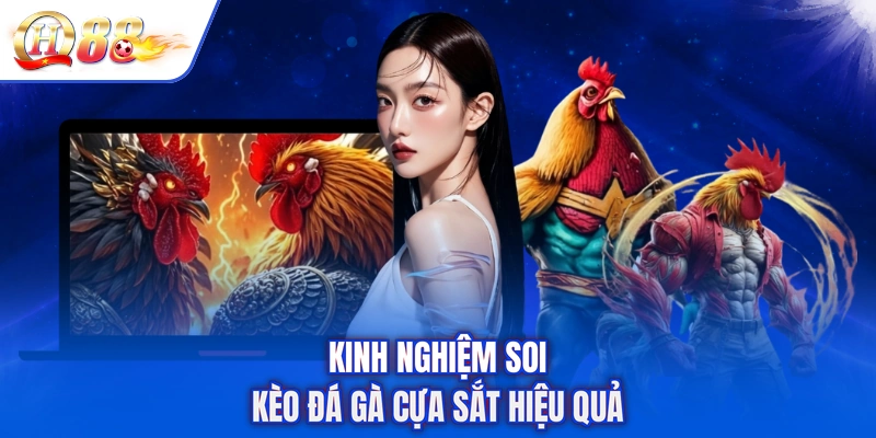 Kinh nghiệm soi kèo đá gà cựa sắt hiệu quả